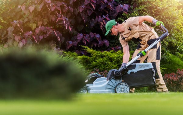 Murphy's Lawn Services