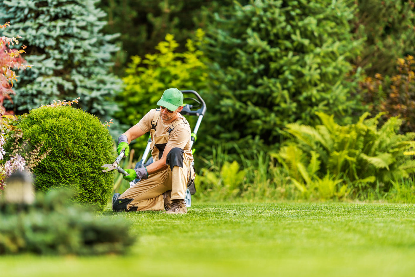  Murphy's Lawn Services