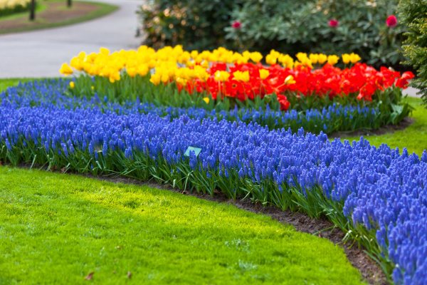 Flower Bed Maintenance