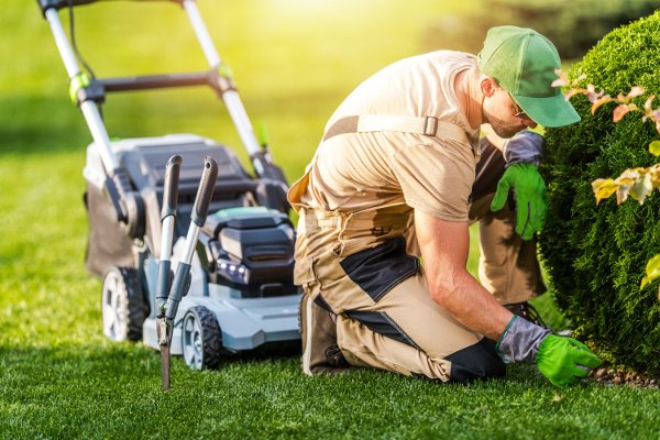 Murphy's Lawn Services